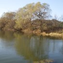 초평선착장 이미지