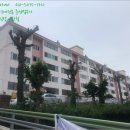 행하길 8 이미지