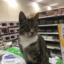 킹스마트 이미지