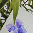 플러스펜 수채캘리 | 감성수채캘리_플러스펜