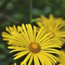 용오름농촌체험휴양마을 이미지