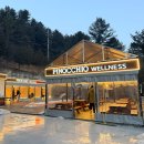 피노키오유치원 | 원주 숙소 펜션 피노키오숲 바베큐 족욕체험 가성비 좋은 패키지 아이랑