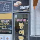 압구정명품붕어빵