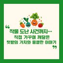 텃밭 도난 사건까지… 직접 가꾸며 깨달은 텃밭의 가치와 뭉클한 이야기