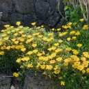 성산별장 이미지