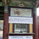 송광사 | 새해 아이와 함께 다녀온 송광사 다녀온 후기