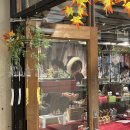 굿모닝Car | 11/16 函館2