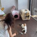 모모스테이션 강릉중앙시장2호점 | [7월의 2박3일 DAY 3] 막걸리술빵 꿀팁, 고성 백촌막국수, 고성 스노쿨링, 속초카페추천