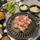 씽씽뒷고기