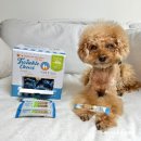 S.S | 강아지덴탈껌 : 간편한 노견 치석관리 펫퍼스 트윙클츄 S 사이즈 후기