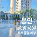 백옥대로1081번길 이미지
