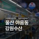 강원수산 | 울산 제철 전어회 수암회센터 3호 강원수산 포장 후기
