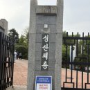 늘푸른전당 공연장 | 창원 겹벚꽃명소 성산패총 늘푸른전당 겹법꽃 개화시기 만개 후기