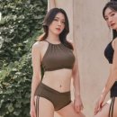 스칼렛웨어