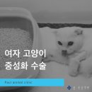 신현동물병원 이미지