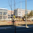 대구세현초등학교 이미지