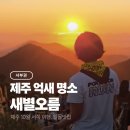 샛별비디오 | 새별오름 소요시간 주차장 제주 억새 일몰 명소