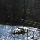 개털깎는집 이미지