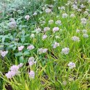 진봉농장 이미지