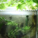 (주)피알파트너스 | 이끼와의 전쟁