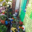 봄약국 앞 이미지