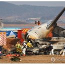 메이데이 - 여주시 | 메이데이