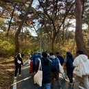 천년 사찰 공주 마곡사에서 시작하는 2026년의 첫 달 이미지
