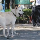송강마루