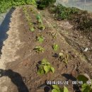 소용농장 이미지