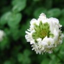 행복세란의원 이미지