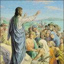 레오나르도 이미지