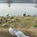 중앙공원사거리(중앙공원 앞 교통섬) | 2️⃣0️⃣2️⃣6️⃣ Kaohsiung 시티투어