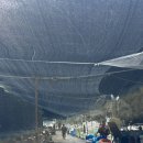 배가네민박 이미지