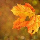 직업상담사 문제풀이 - 직업정보론 이미지