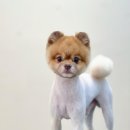 Grooming574 이미지