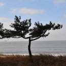 해송공원 이미지