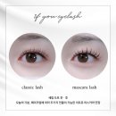 이프유래쉬&왁싱