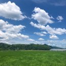 지리산약초장어푸른솔가든 이미지