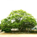 원주굽이길 10코스 천년사지길 이미지