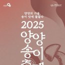양양송이 - 양양군 남문3길 14 | 양양송이