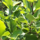 고성농장 이미지