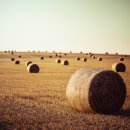 해아림 한의원 이미지