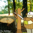 베어빈