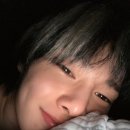 스테이 일상 네이버블로그