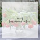 고수학고영어학원 | 드디어 찾았어요! 저를 영어 고수로 만들어 줄 블랙로즈영어학원 후기