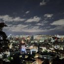 XTIVE 휘트니스 네이버블로그