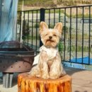 멍스빌리지풀빌라3 이미지