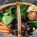 로얄피시 이미지