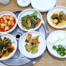 장원식품 | 속초 삼계탕 추천 장원능이버섯백숙 능계탕 감자전 아이와 식사후기