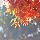 올백 클래스 손빈아 발라드 &amp; 듀엣 12곡 이미지